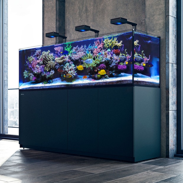 Red Sea Reefer-S 1000 G3 weiss