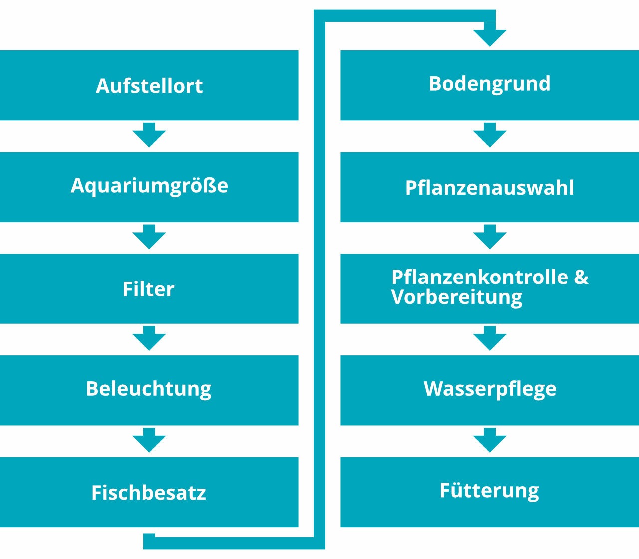 Checkliste Algen bek&auml;mpfen