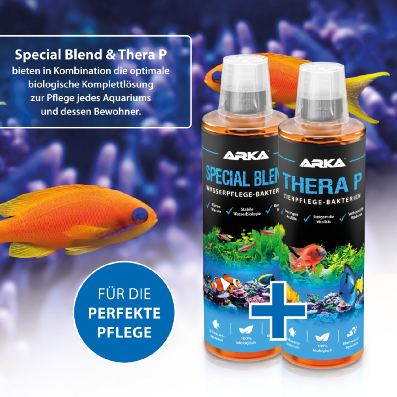 Arka TheraP Pond Fischpflege