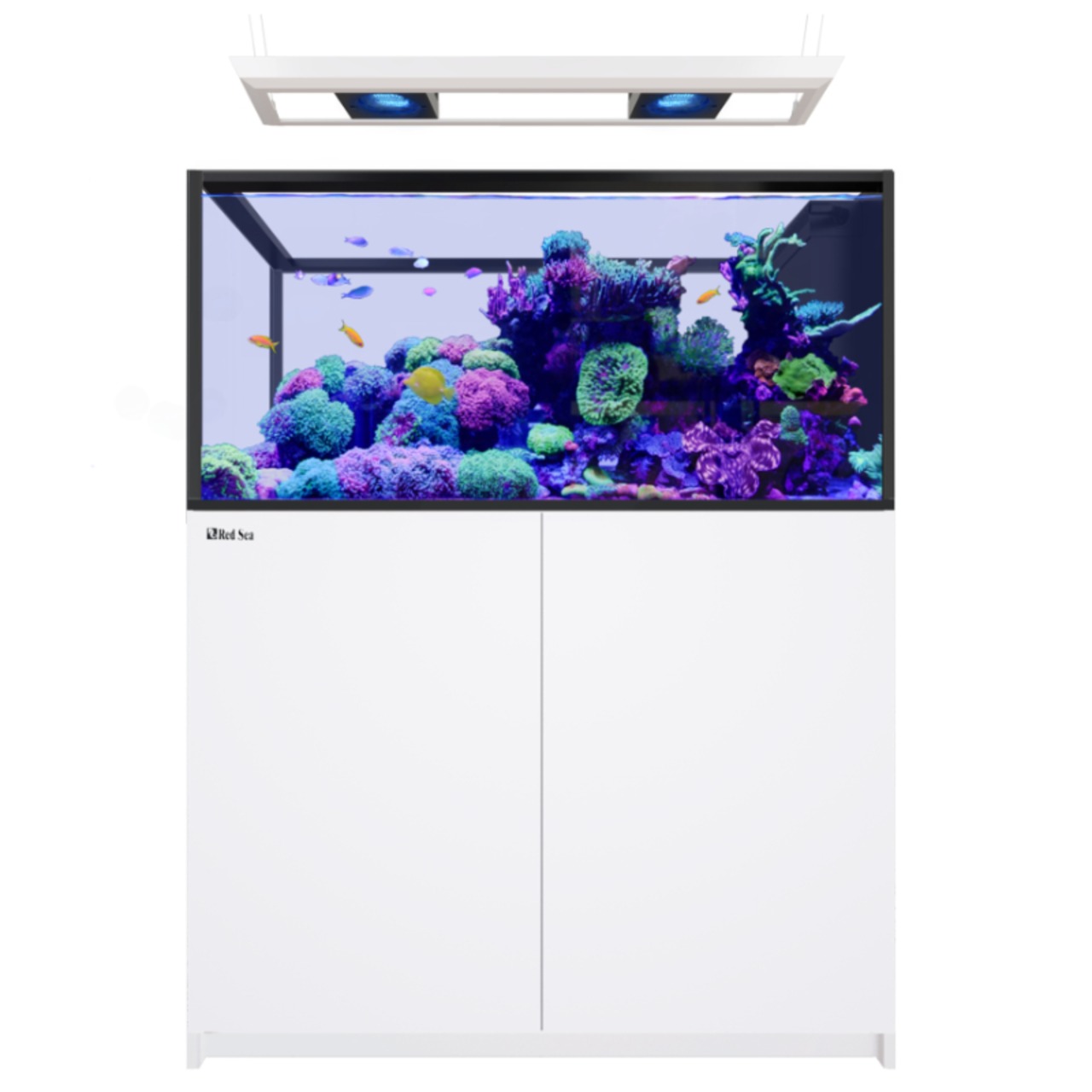 Red Sea REEFER MAX Peninsula 500 G3