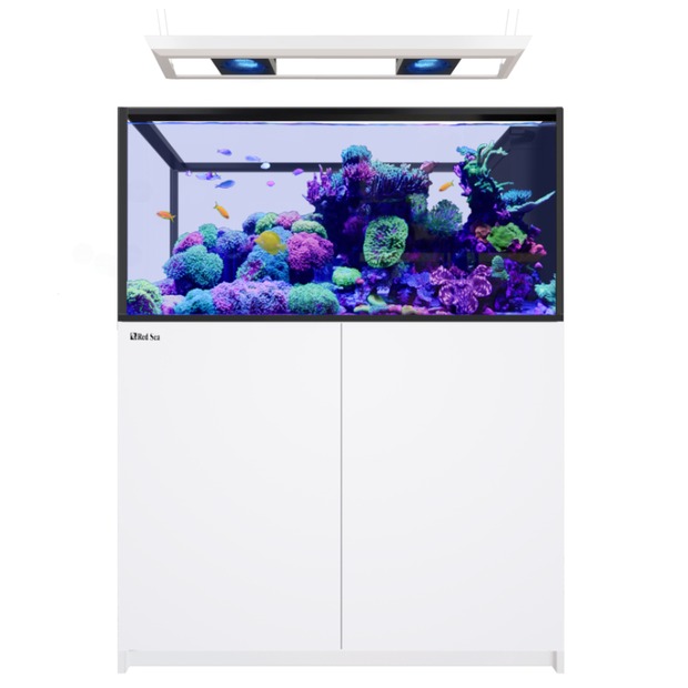 Red Sea REEFER MAX Peninsula 500 G3