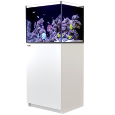 Red Sea Reefer 170 G3+ weiss