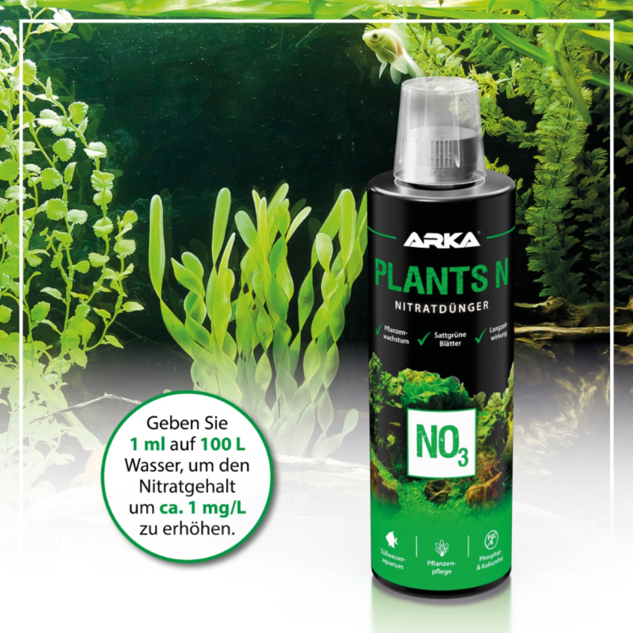 Arka Plants N