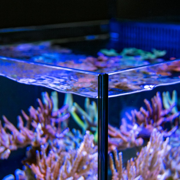 Red Sea MAX NANO Peninsula G2 Aquarium