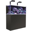 Red Sea REEFER Icon