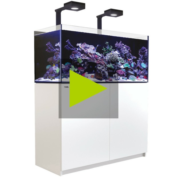 Red Sea Reefer 425 G3+ Deluxe weiss