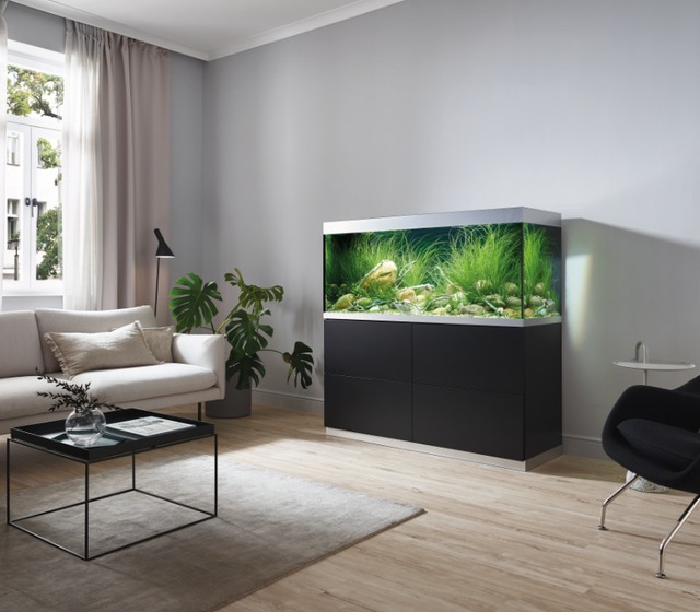 Rundum aesthetisch