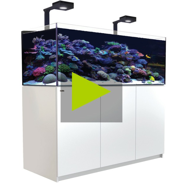 Red Sea Reefer 525 G3+ Deluxe weiss
