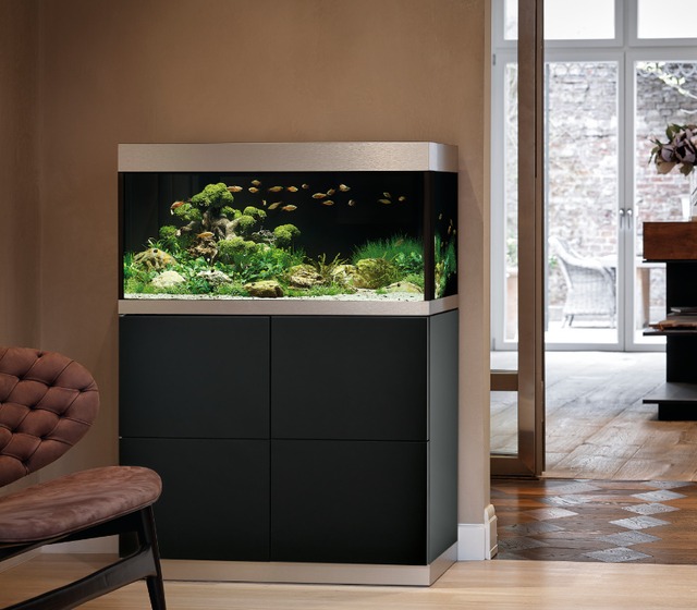 Rundum aesthetisch