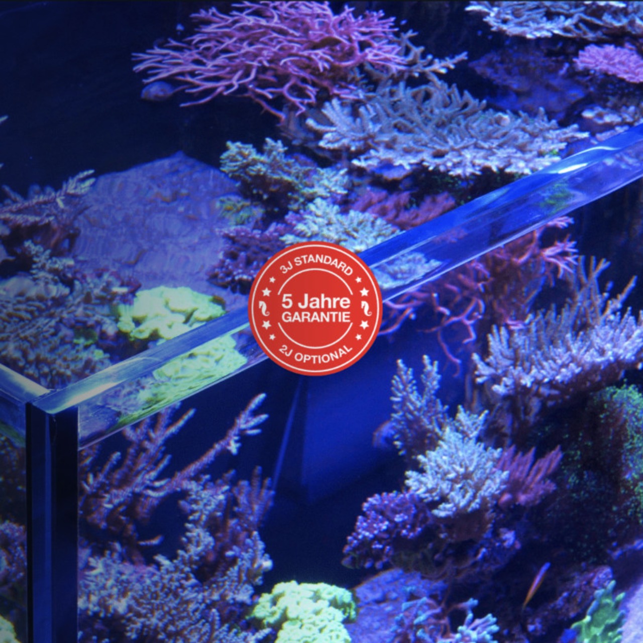 Red Sea REEFER MAX G3