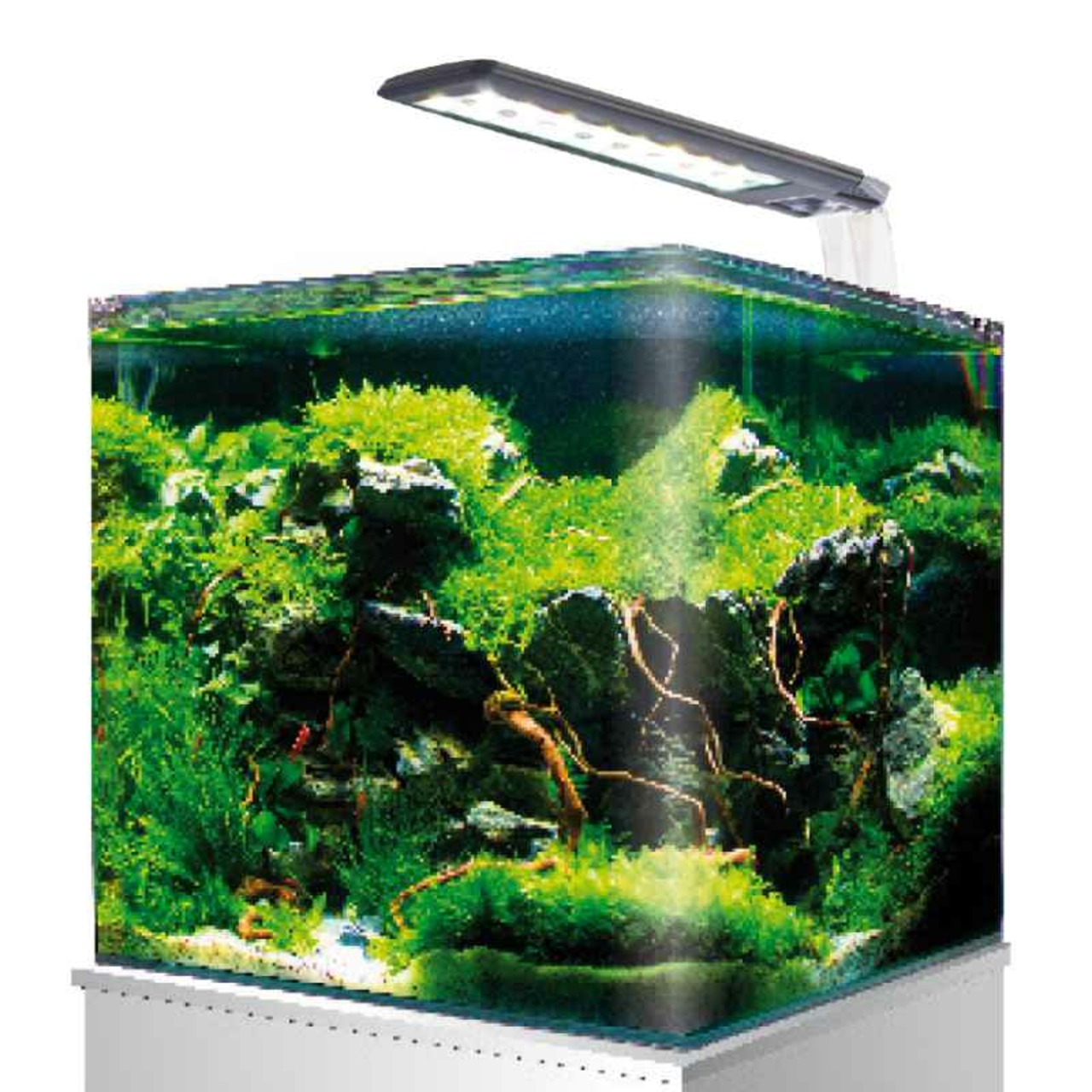 Amtra Nano Aquarium
