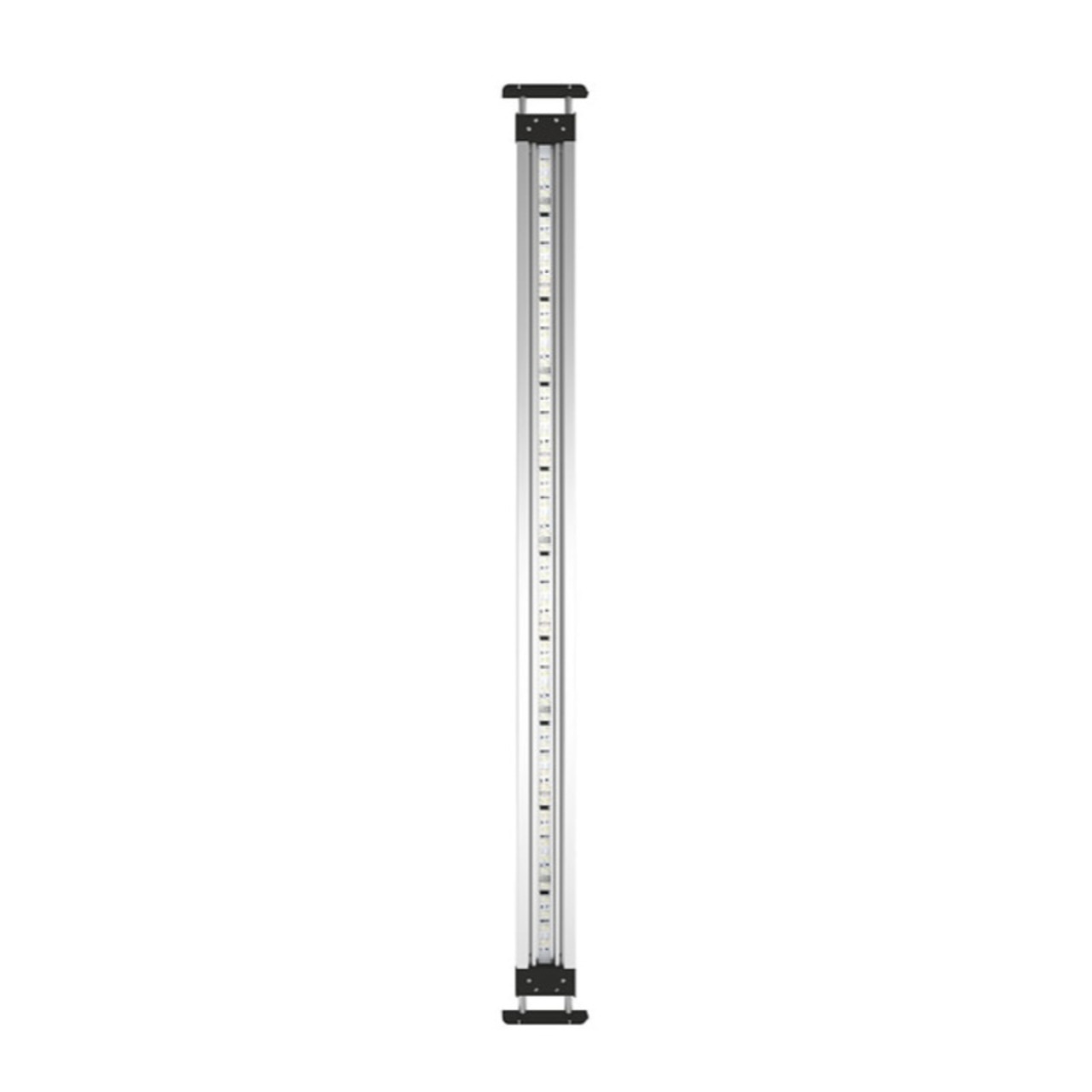 Oase MotionControl LED
