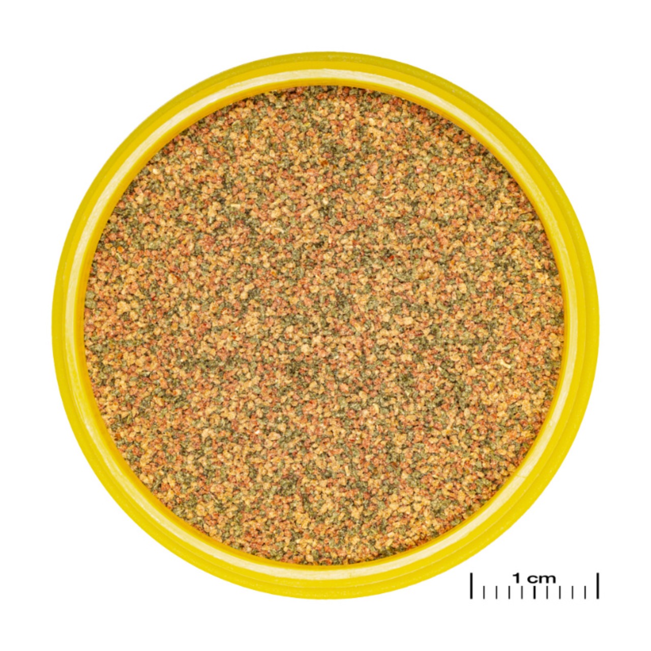 JBL ProNovo Bel Grano CLICK