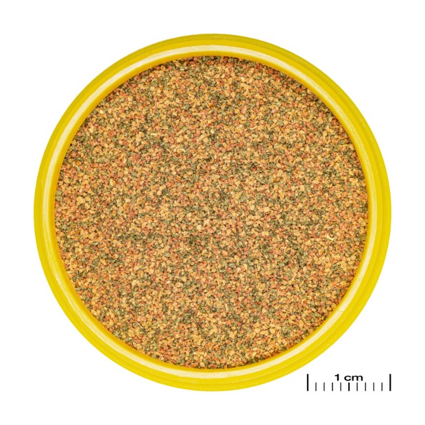 JBL ProNovo Bel Grano CLICK