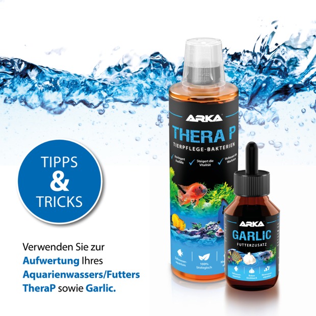 Arka Artemiss Immunstimulanz-B 473ml