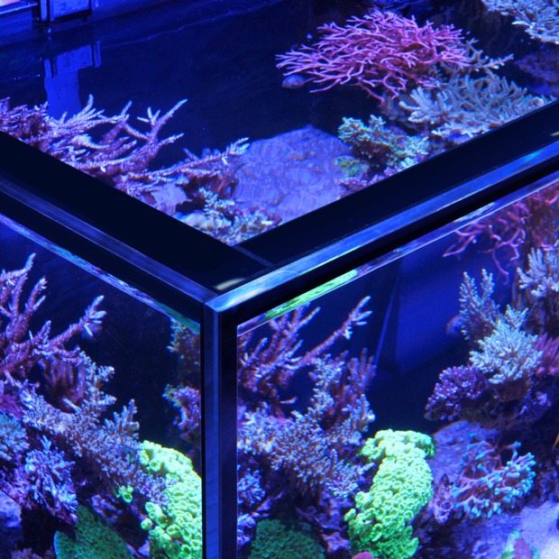Red Sea Reefer-S 1000 G3 weiss