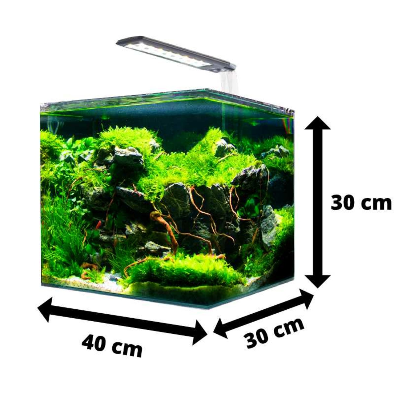 Amtra Nano Aquarium