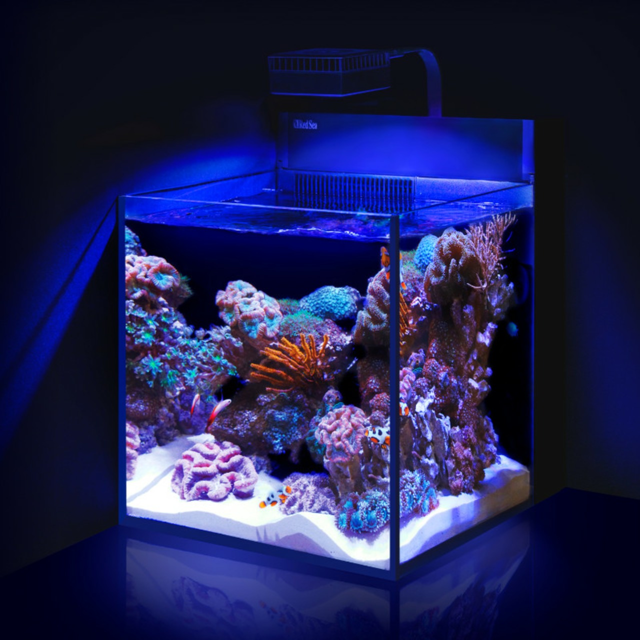 Red Sea MAX NANO Peninsula G2 Aquarium