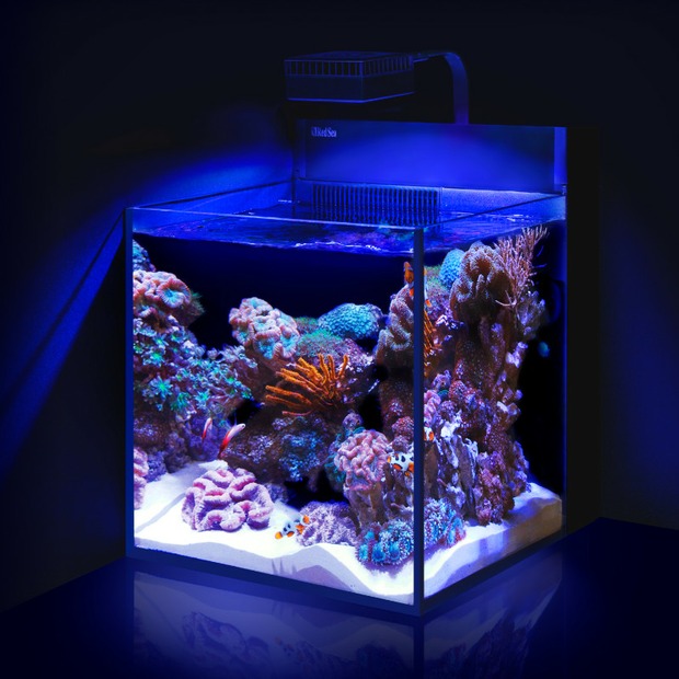 Red Sea MAX NANO Peninsula G2 Aquarium