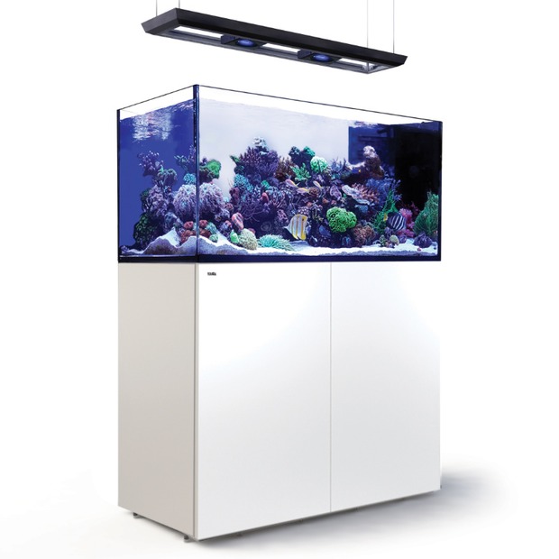 Red Sea REEFER MAX Peninsula 500 G3
