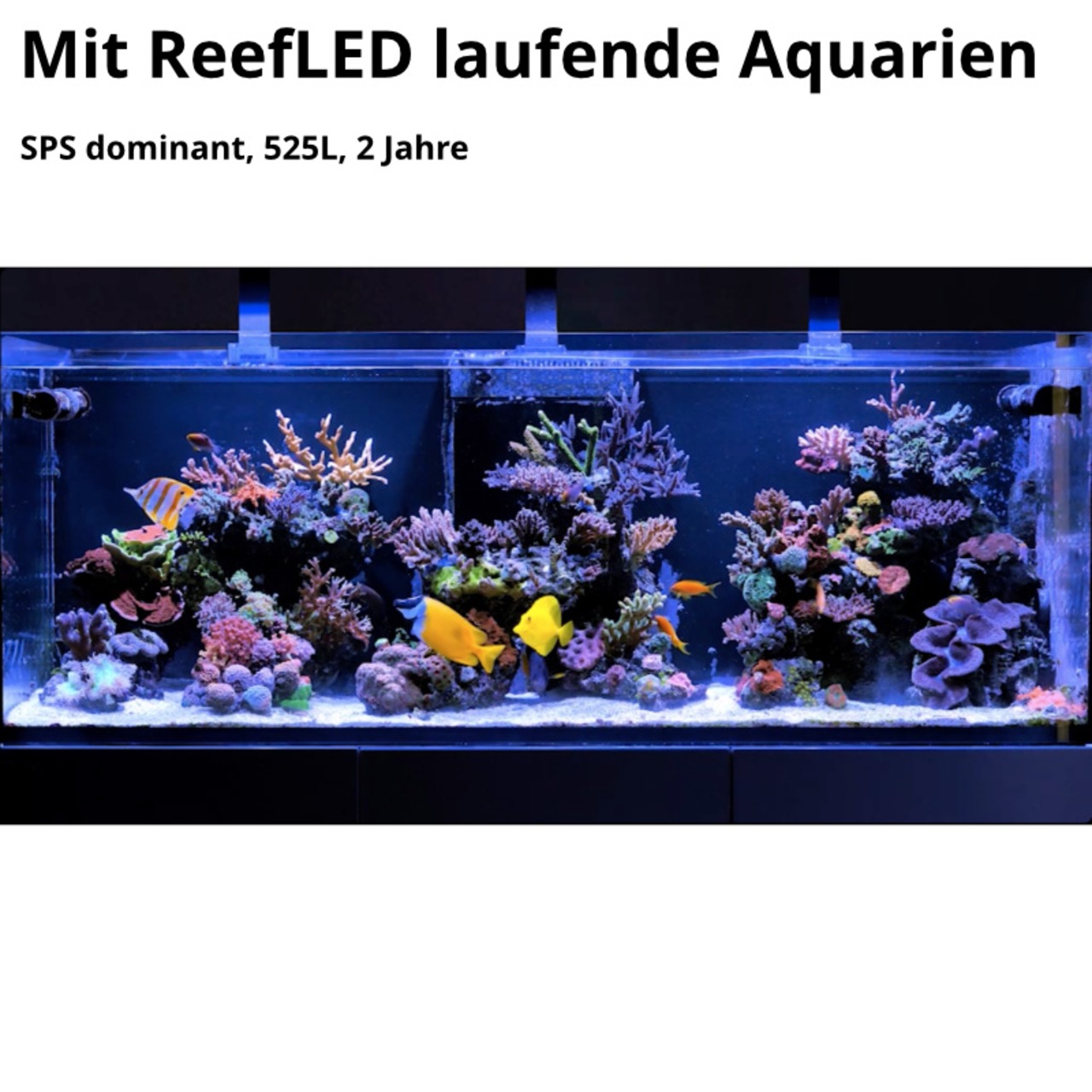 Red Sea ReefLED G2