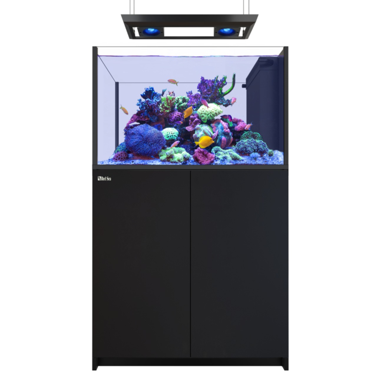 Red Sea REEFER MAX Peninsula 350 G3
