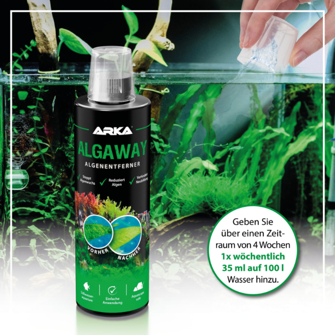 Arka Algaway