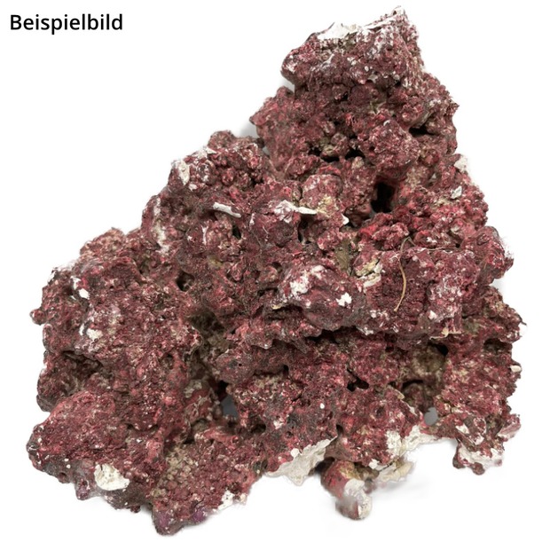 RealReef Rock 1 kg