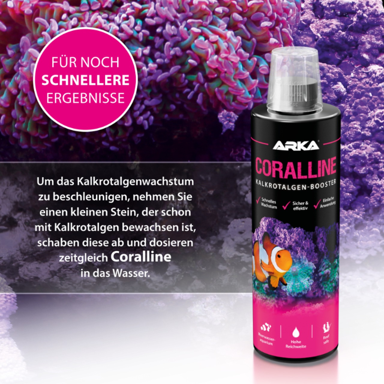 Arka Coralline Kalkrotalgen + 473ml