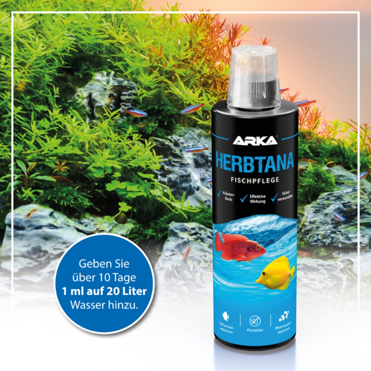 Arka Herbtana Immunstimulanz-P 473ml