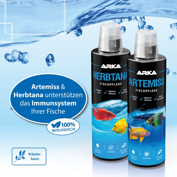 Arka Artemiss Immunstimulanz-B 473ml