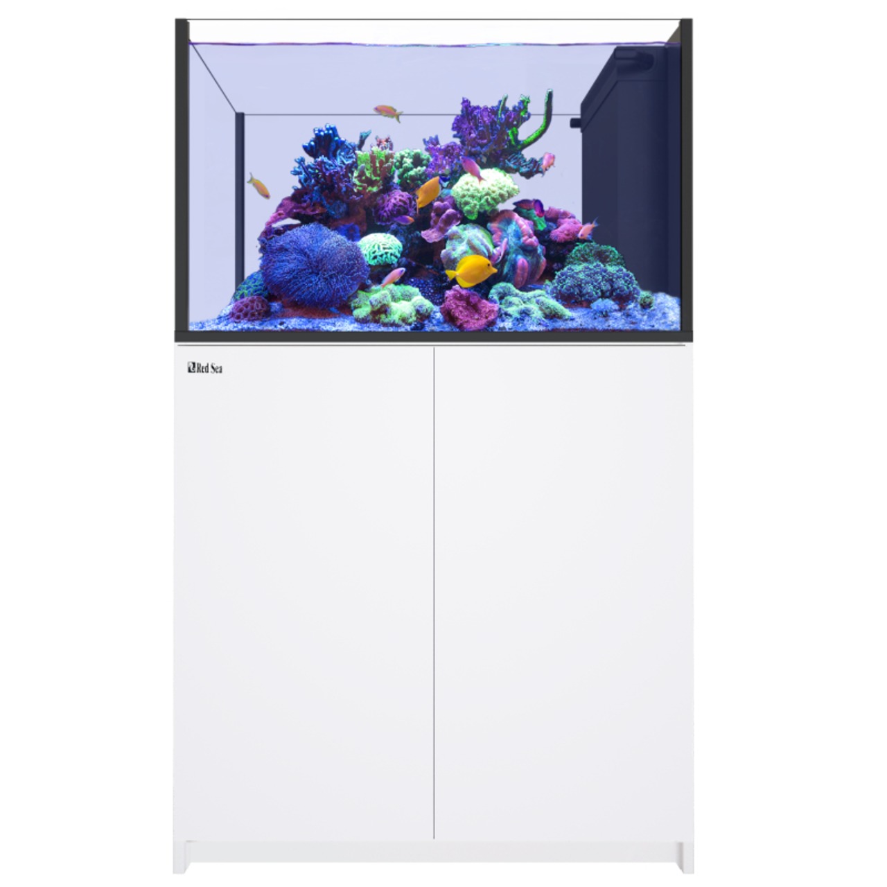 Red Sea REEFER Peninsula 350 G3+