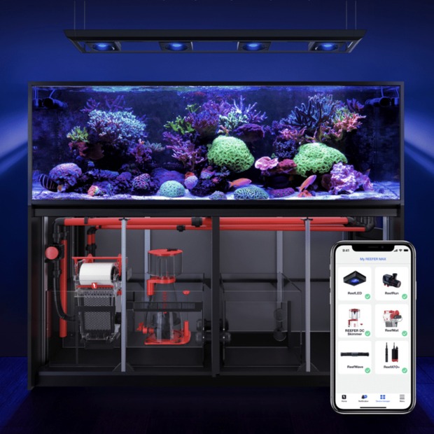 Red Sea REEFER MAX Peninsula 500 G3