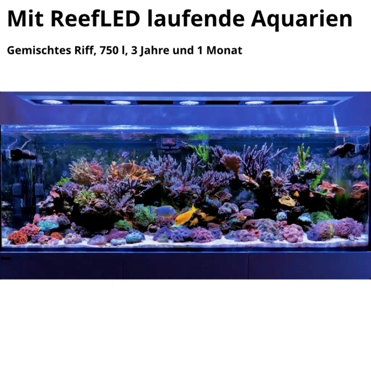 Red Sea ReefLED G2