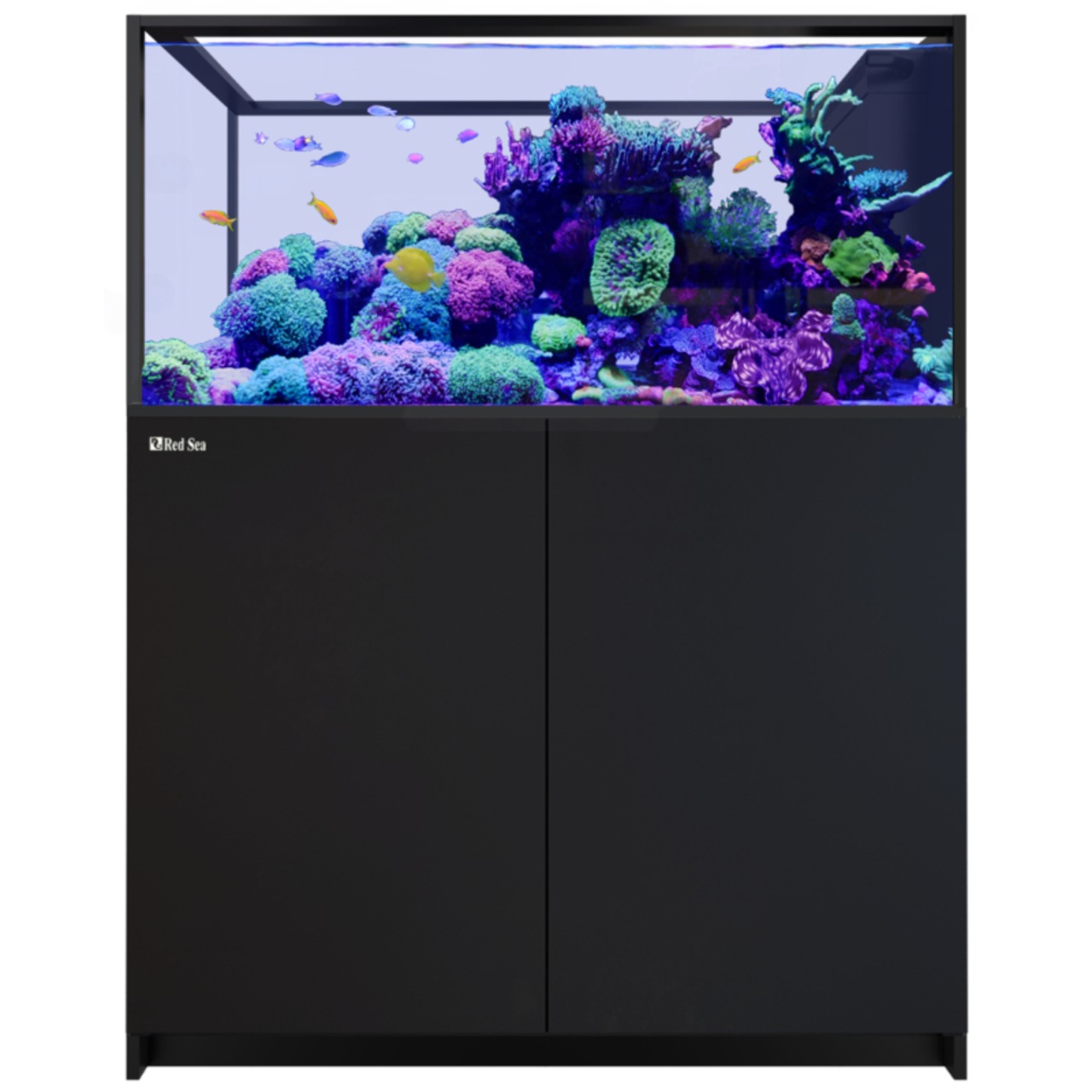 Red Sea REEFER Peninsula 500 G3