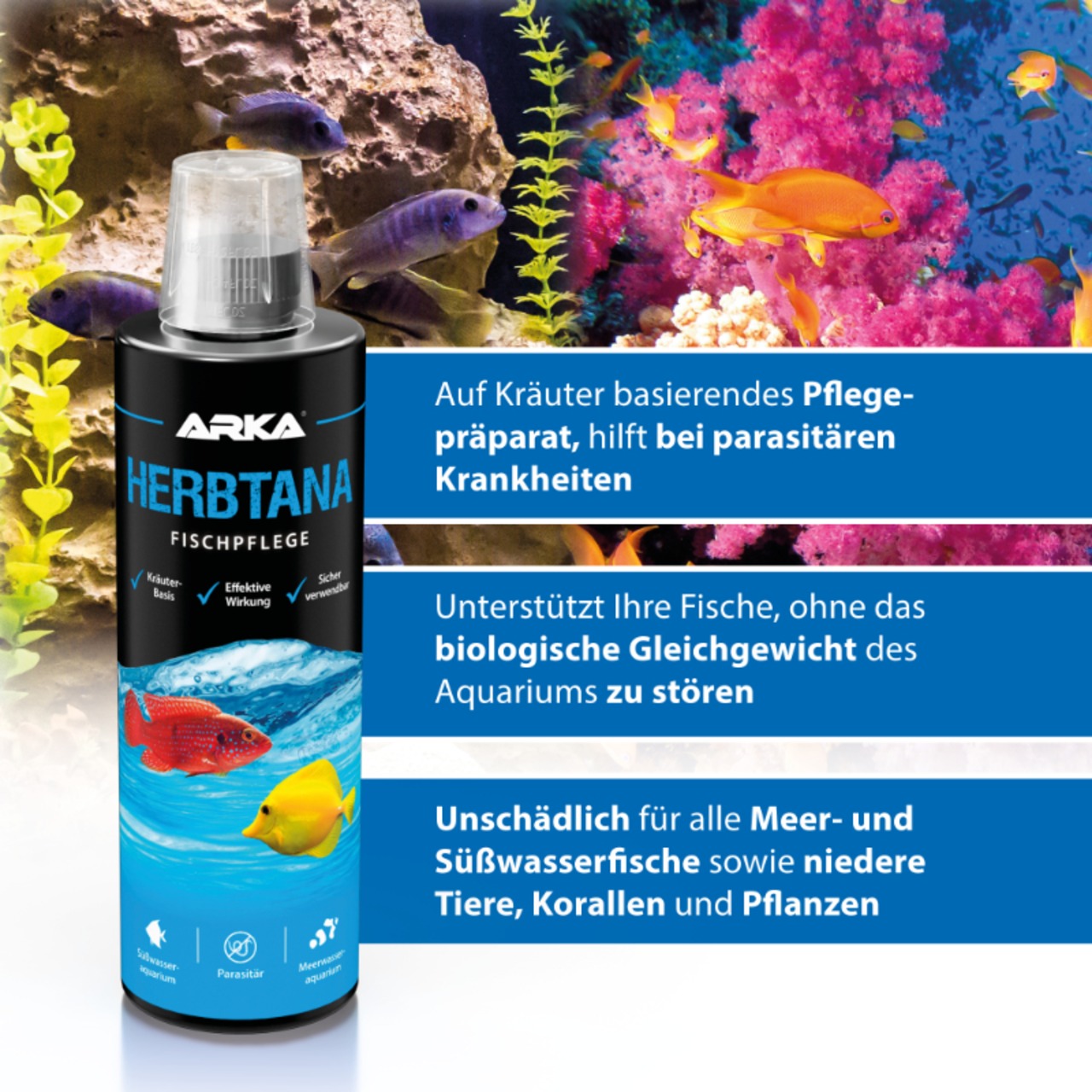 Arka Herbtana Immunstimulanz-P 473ml