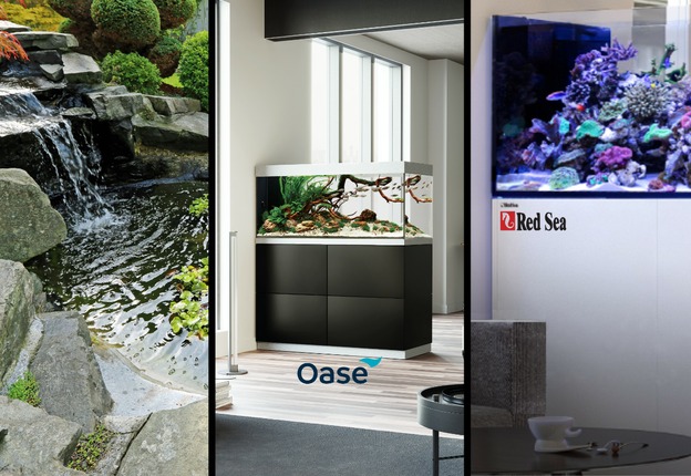 Angebot aquaristik-shop.live
